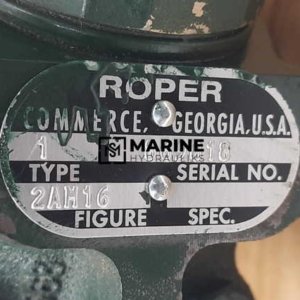 Roper 869818 Rotary Gear Pump