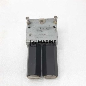 Hawe LH- 44 G-21-250/250 Hydraulik load-holding valve