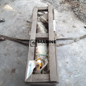 Fjereo A/S HMS-C-D-12580×890-30-C-R Hydraulic cylinder