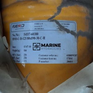 Fjereo A/S HMS-C-D-12580×890-30-C-R Hydraulic cylinder